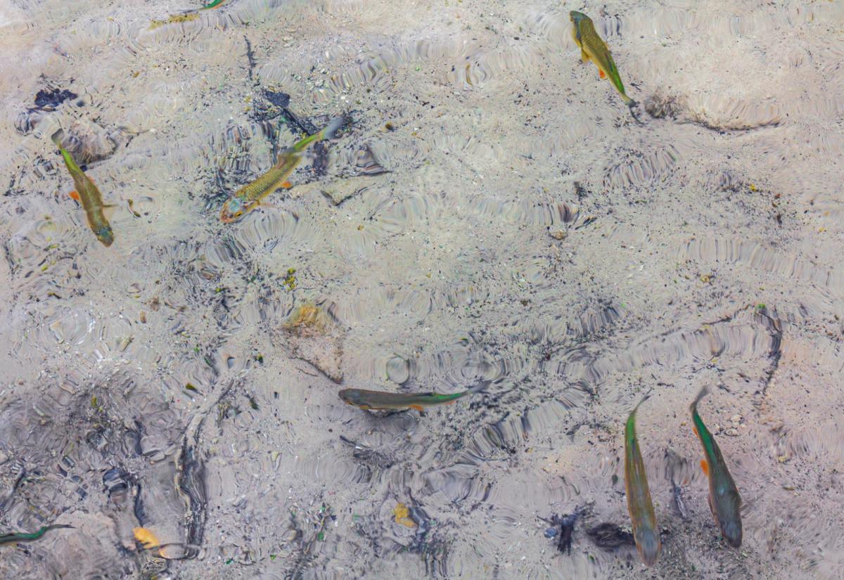 Snorkeling Krk Best Spots Snorkeling Krk Best Spots