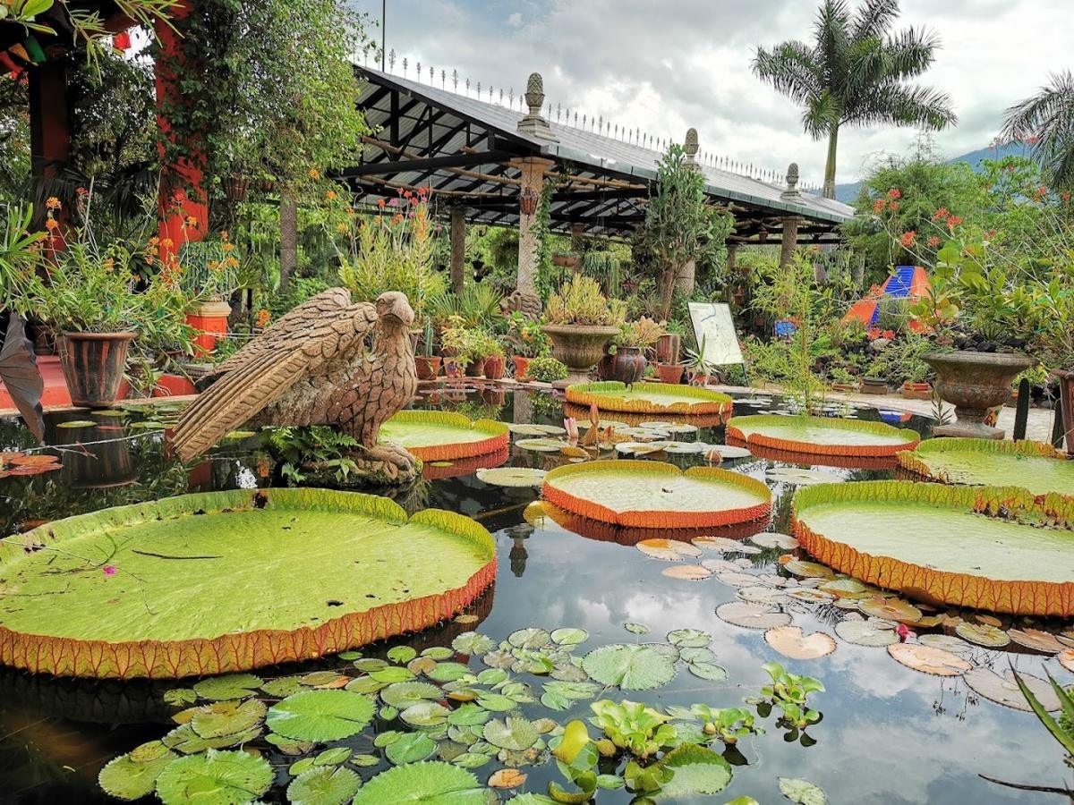 Jardín Botánico de Vallarta Jardín Botánico de Vallarta