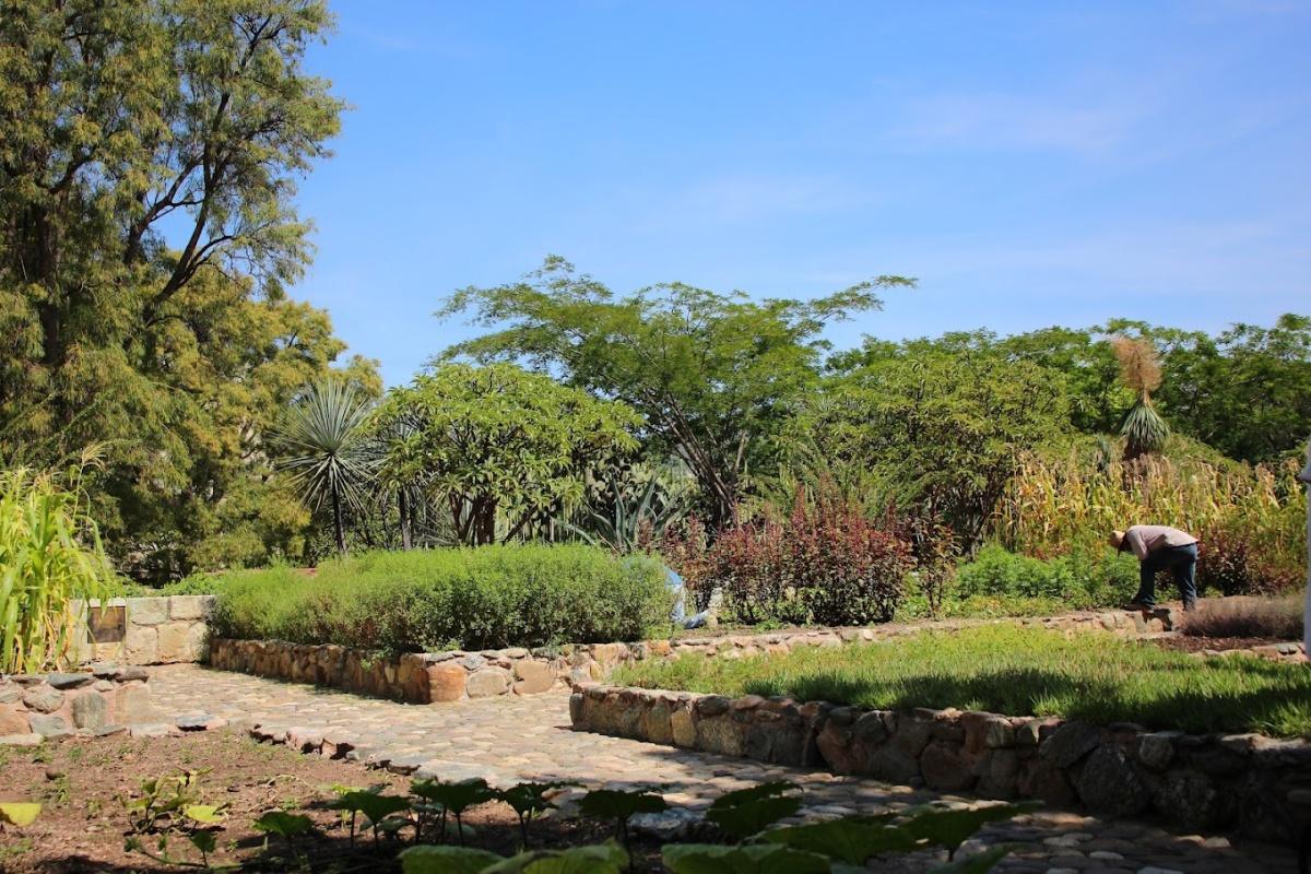 Jardín Etnobotánico de Oaxaca Jardín Etnobotánico de Oaxaca