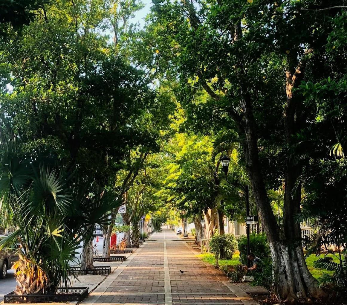 Paseo de Montejo Paseo de Montejo