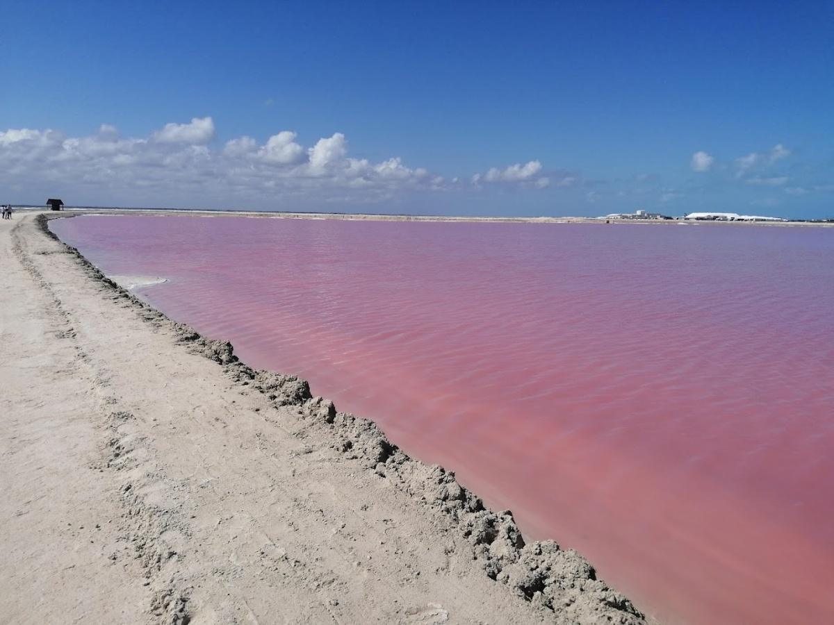 Las Coloradas Las Coloradas