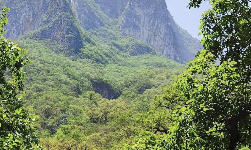 Parque Natural La Estanzuela Monterrey Parque Natural La Estanzuela Monterrey