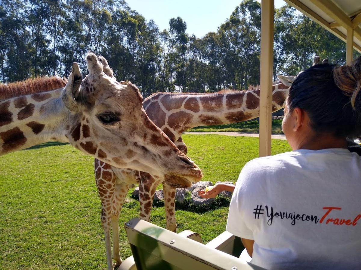 Zoológico Guadalajara Zoológico Guadalajara