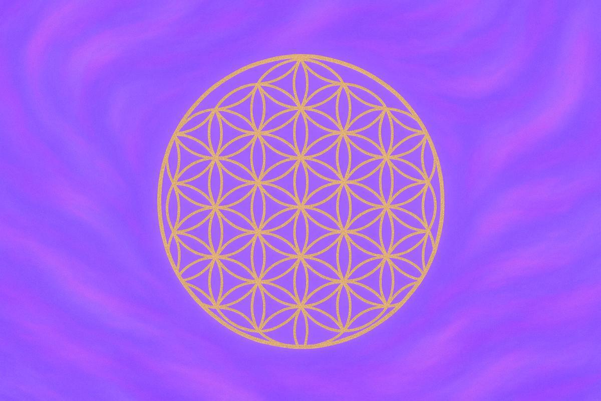 Quel type de guide t’accompagne le plus ?