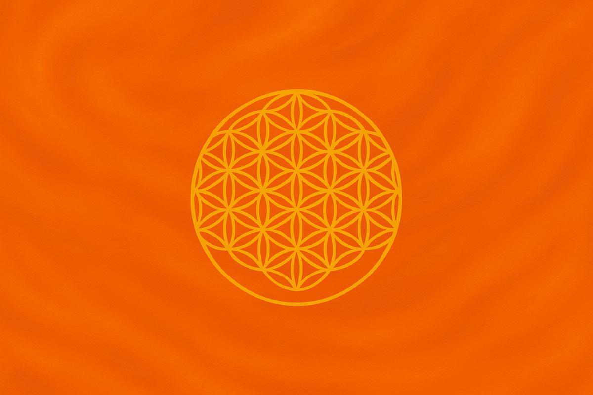 Quelle partie de toi mérite plus d’amour aujourd’hui ?