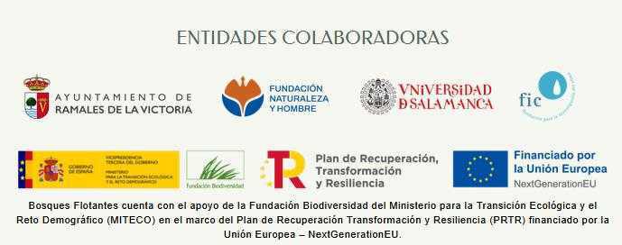 BOSQUES FLOTANTES BOSQUES FLOTANTES