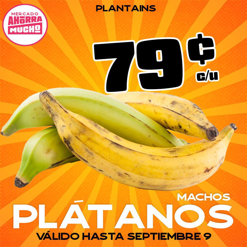 Machos Platanos