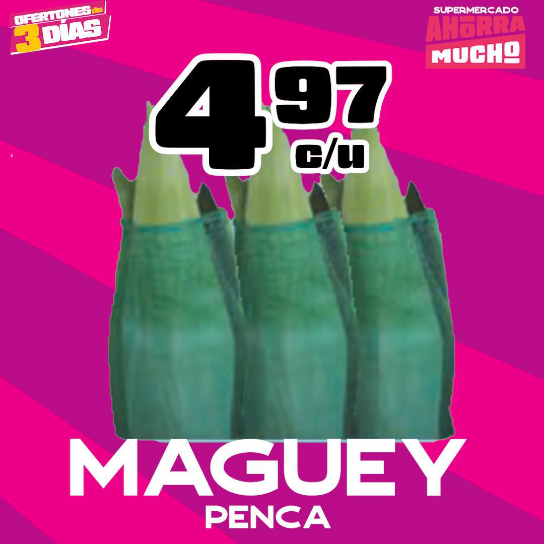 Maguey