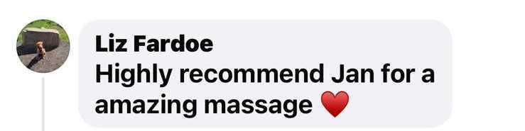 What they are saying about Jan