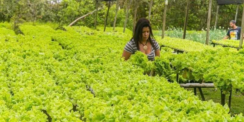 Produtores rurais de Cabo Frio terão palestras gratuitas sobre crédito rural