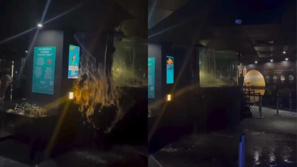 Teto do AquaRio cede após vazamento de tanque, incidente é contido sem riscos graves