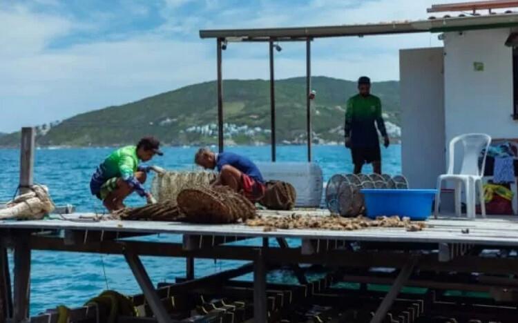 Búzios recebe 2º Festival da Pesca com ciência e cultura marinha