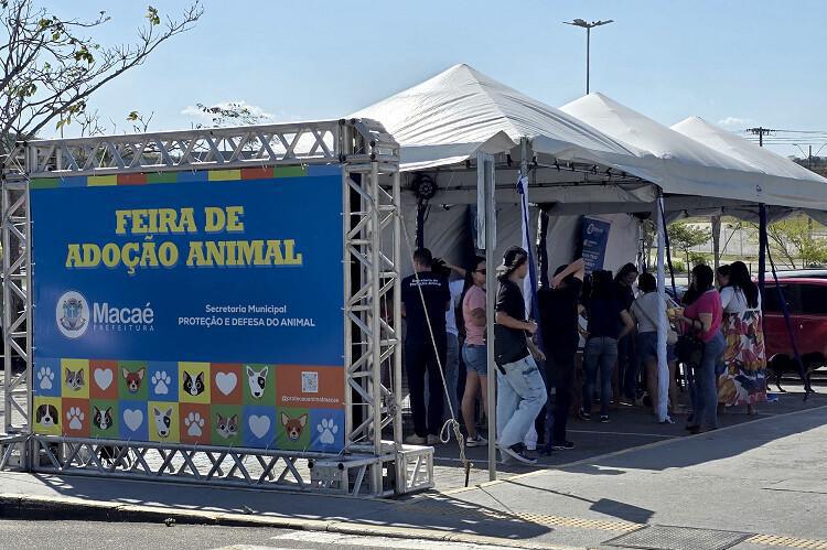 Prefeitura de Macaé promove mais uma edição de Feira de Adoção Animal neste sábado no Shopping Plaza Prefeitura de Macaé promove mais uma edição de Feira de Adoção Animal neste sábado no Shopping Plaza