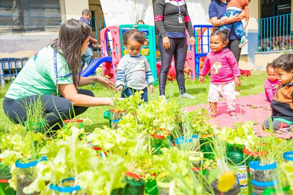 Alunos de creche em Mesquita colhem verduras e aprendem sobre natureza Alunos de creche em Mesquita colhem verduras e aprendem sobre natureza