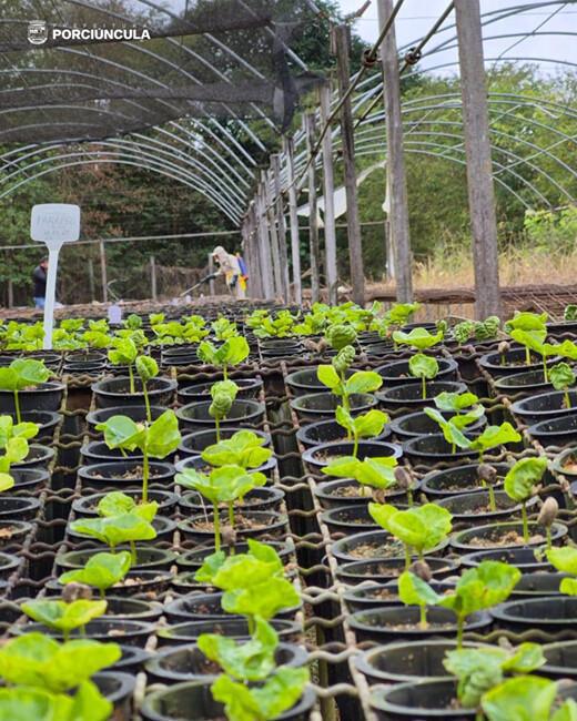 Prefeitura de Porciúncula desenvolve ações que beneficiam agricultores porciunculenses