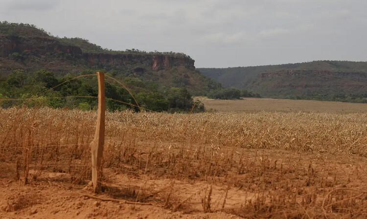 Fronteira Cerrado: acesso desigual ao Estado agrava conflitos agrários Fronteira Cerrado: acesso desigual ao Estado agrava conflitos agrários