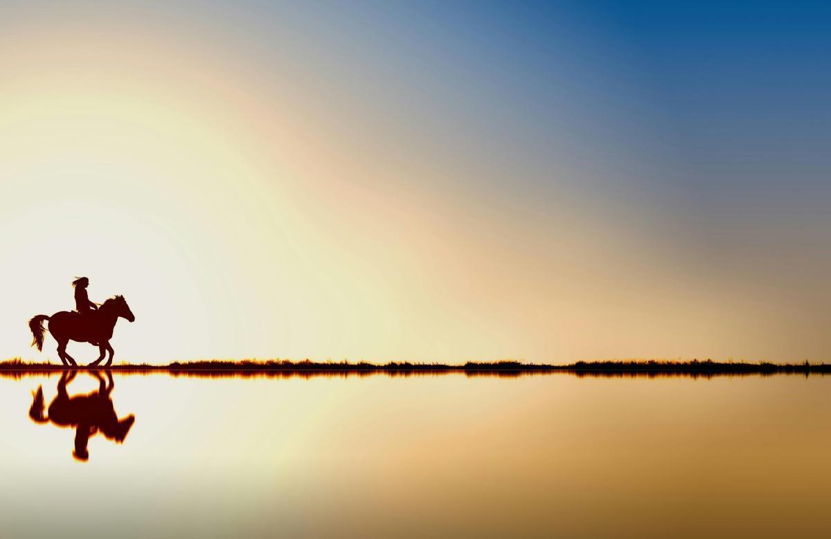 طفرة جينية غيرت تاريخ البشر: التفسير العلمي لتحول الخيول إلى وسيلة للتنقل