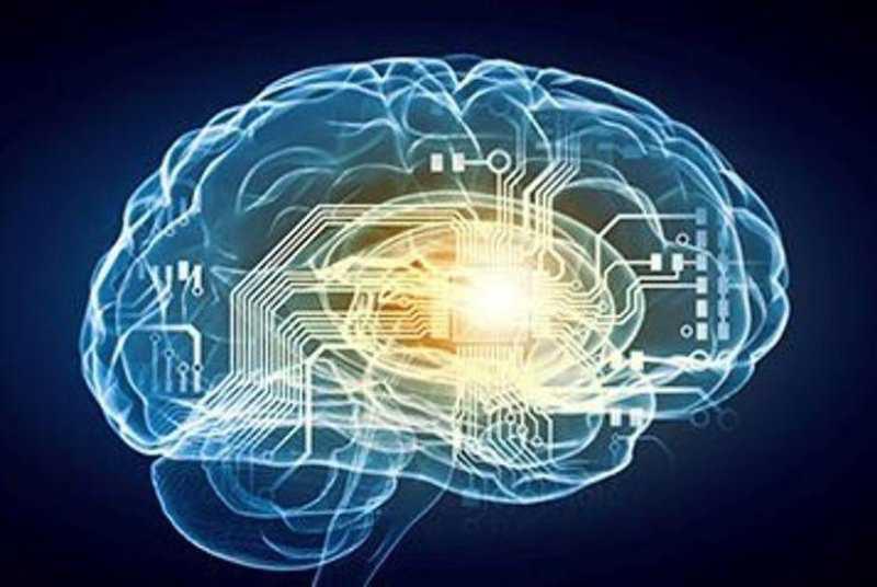 اكتشاف يوضح كيفية عمل "البوصلة العصبية" في الدماغ ويفتح آفاقاً لفهم الأمراض التنكسية