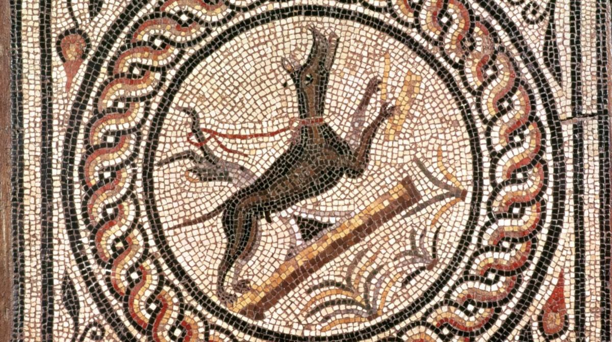 آثار عضة أسد على هيكل عظمي في يورك تؤكد وجود معارك المصارعين في بريطانيا الرومانية