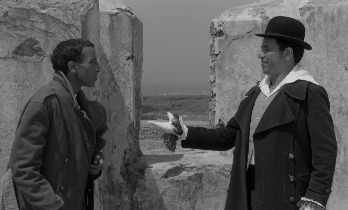 «السراب» يعود إلى برلين: ترميم مغربي يوقّع دخول سينما بوعناني إلى نادي كلاسيكيات العالم «السراب» يعود إلى برلين: ترميم مغربي يوقّع دخول سينما بوعناني إلى نادي كلاسيكيات العالم