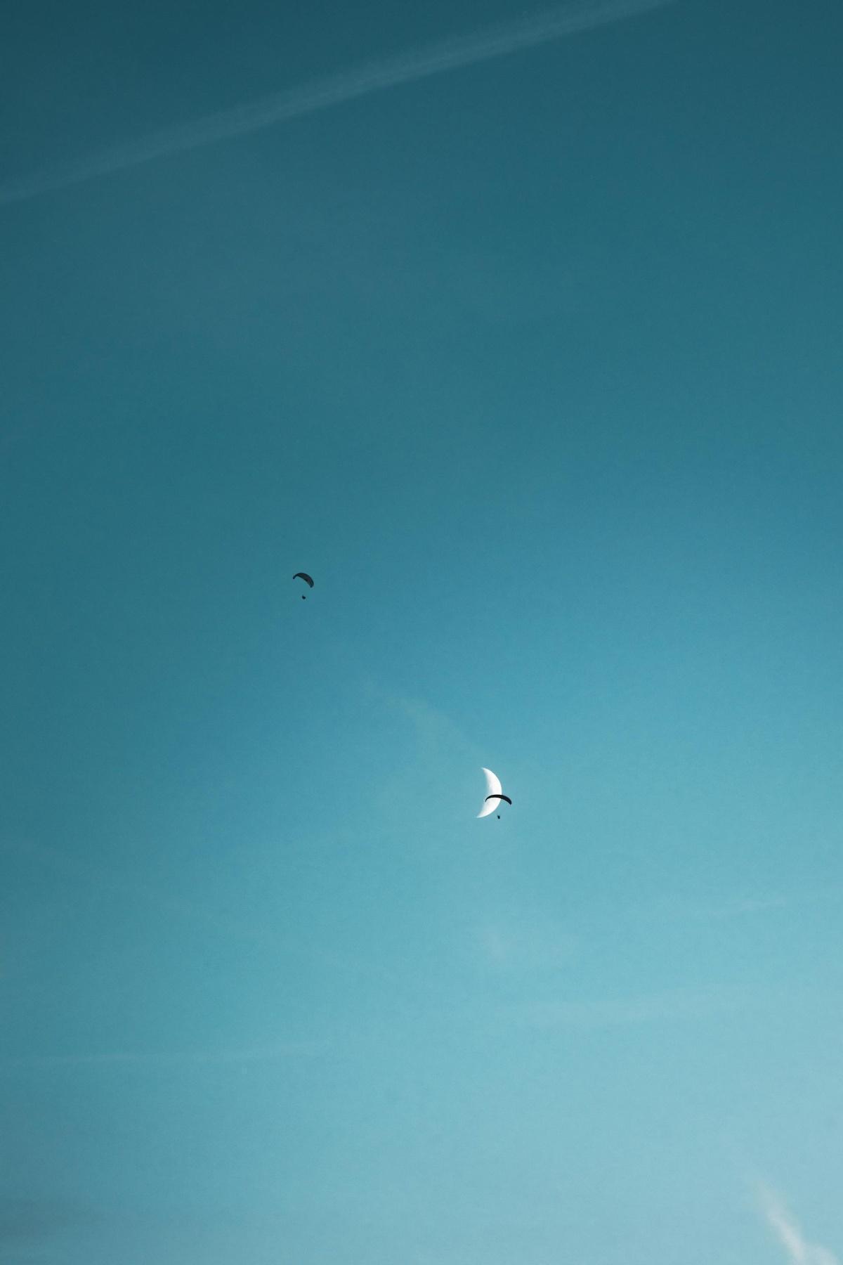 خمس اقتباسات يجب قراءتها قبل تناول وجبة الإفطار خمس اقتباسات يجب قراءتها قبل تناول وجبة الإفطار