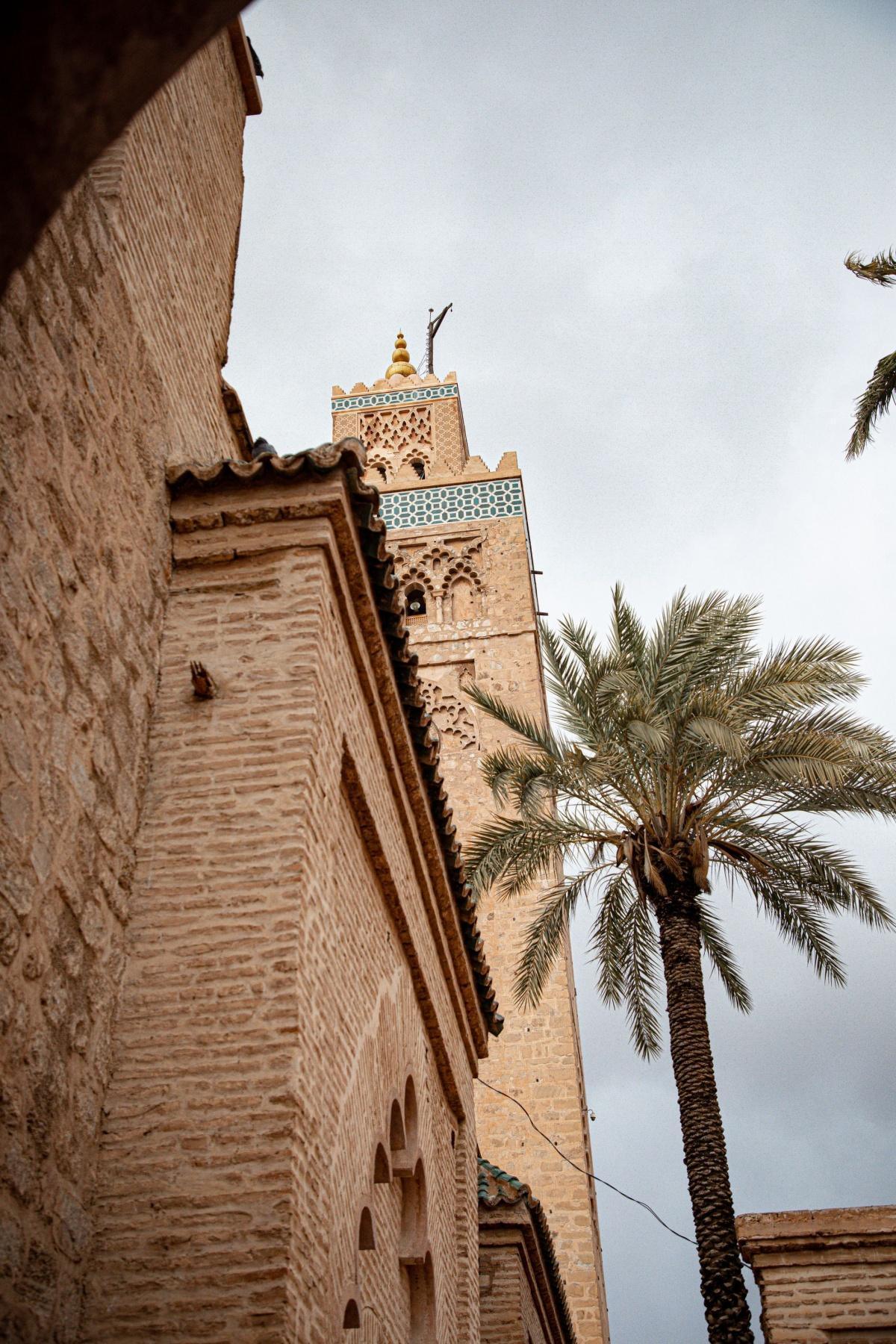 المقالاتي — جولة الصحافة · العدد 9: الاستحقاقات التشريعية، الملف الأممي للصحراء والذكاء الاصطناعي