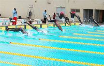 Natation : la Fédération célèbre ses meilleurs athlètes