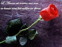 L'amour dure vraiment trois ans