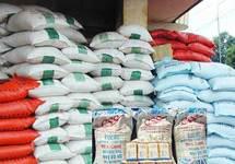 Insécurité alimentaire : Dakar reçoit 3,6 milliards des Nations unies