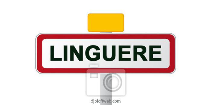Linguère: Après trois jours de maladie, un marabout charlatan perd sa vie