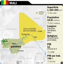 Comprendre le syndrome malien et y apporter des solutions responsables