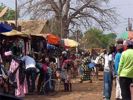 VELINGARA : Effondrement d’un pont à Bonconto. 20 villages coupés de leur chef lieu de conseil rural.