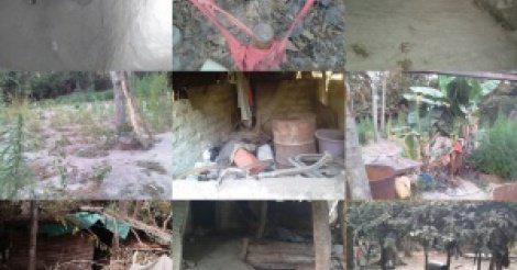 Ziguinchor : Deux rebelles mis en prison, des munitions saisies et des champs de chanvre détruits