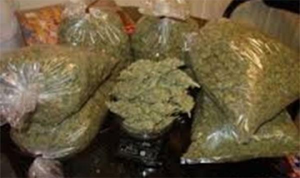 Louga : Pris avec 30 cornets et 75 grammes de chanvre indien, un dealer écope d’un an ferme