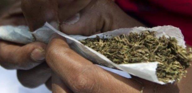 TRAFIC DE CHANVRE INDIEN A TOUBA : Un cordonnier tombe avec plus de 1Kg en plein jour