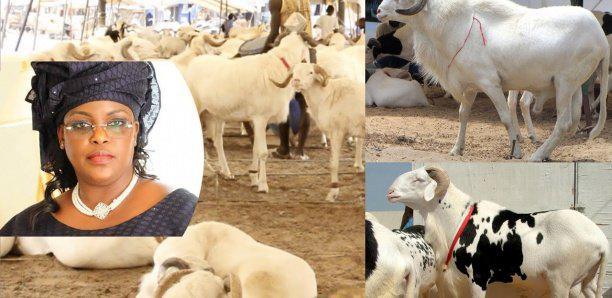 Tabaski: Marieme Faye Sall offre des moutons aux populations