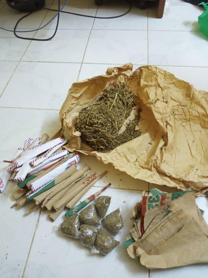 Offre et cession de chanvre indien : Ismaïla Diop prétendant faire usage de la drogue pour soigner son asthme, écope de 2 ans de prison ferme.