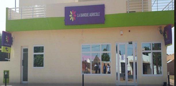 Escroquerie portant sur 55 millions Cfa :