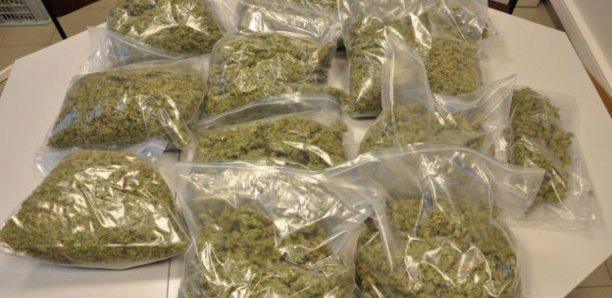La commerçante-dealer cachait la drogue dans son soutien-gorge