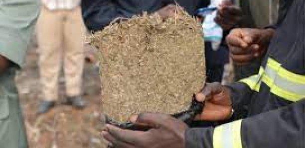 Affaire des 750 kg de cocaïne : Toubey et Cie bientôt jugés