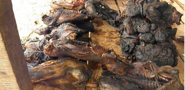 Tambacounda : La gendarmerie démantèle un réseau de vente de viande de singe et de chacal