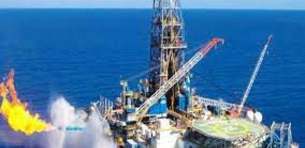 Production des premiers barils, bénéfice du pétrole sénégalais : Les engagement de la PDG de Woodside