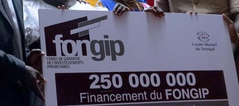 Financement des projets du Fongip : 250 millions FCFA détournés à travers des prêts fictifs