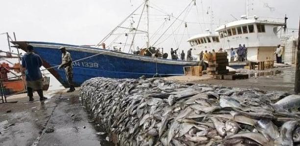 Pêche : Le Sénégal exige un partenariat équitable avec l’Union européenne