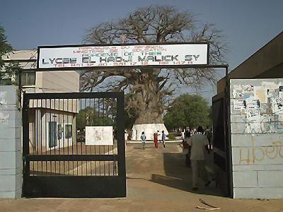 Vente dun bonbon appellé « nicoteen » dans les écoles : L’association " mon Sénégal à moi " lance l’alerte