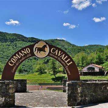 Comano Cavalli - Comano Horses