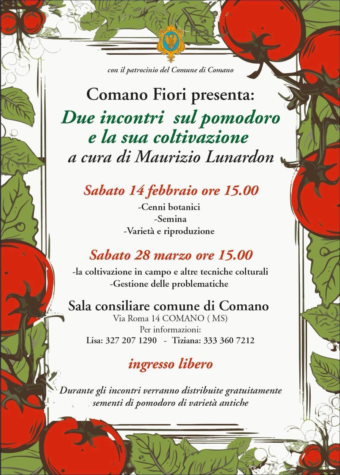Incontro sul pomodoro e la sua coltivazione a cura di Maurizio Lunardon (inizio ore 15.00) Incontro sul pomodoro e la sua coltivazione a cura di Maurizio Lunardon (inizio ore 15.00)