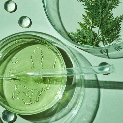 Laboratorio galenico