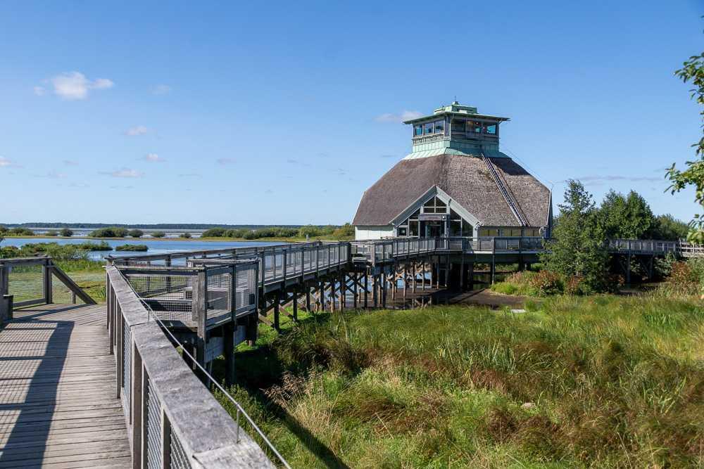 Hornborgasjön Hornborgasjön