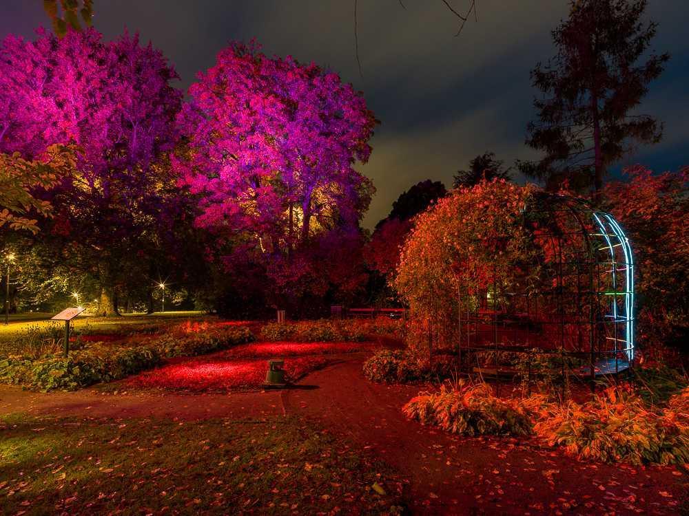 Lights in Alingsås